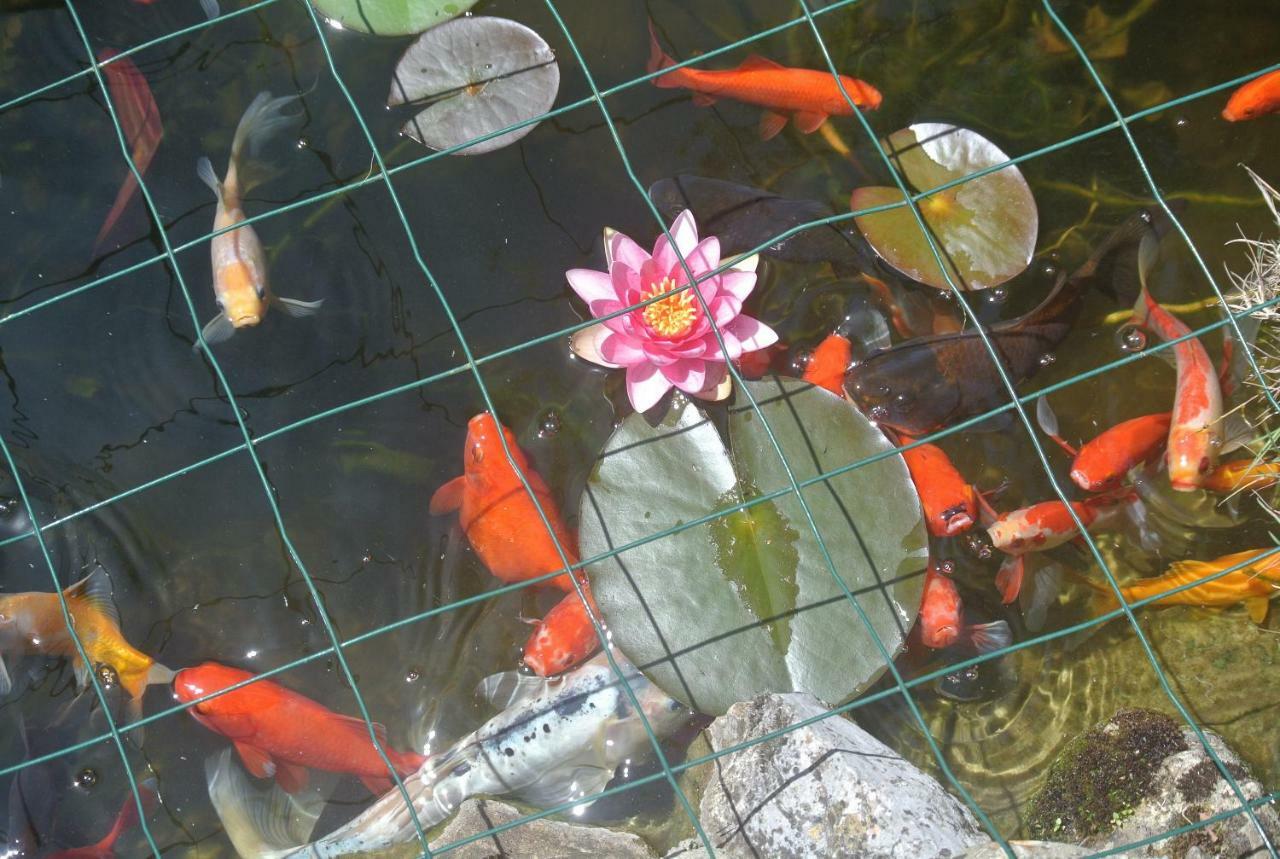 Viella Vacances ภายนอก รูปภาพ